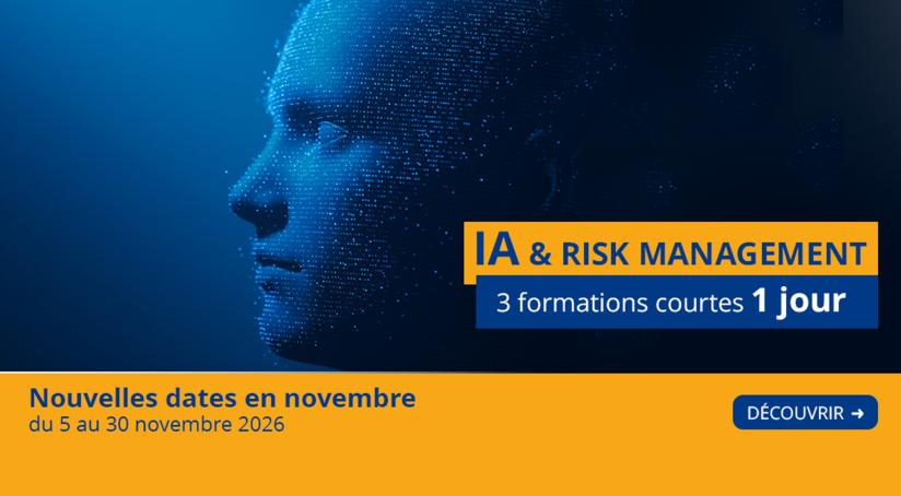 AF-HP-1026-63 Cycle IA et risk management